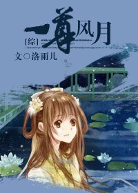 (綜漫同人)一尊風月