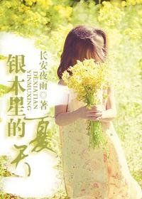 《银木星的夏天》