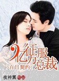 百日契约:征服亿万总裁