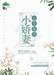 七十年代小哈妻