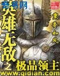 《英雄无敌之极品领主》