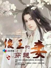 臣妾爱打牌:傻王的穿越妻