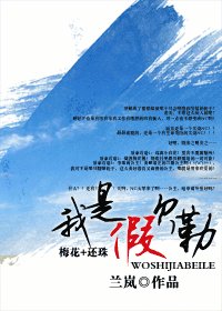 (瓊瑤同人)我是假貝勒
