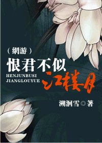恨君不似江楼月