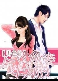 男色劫:今生只为你的妾