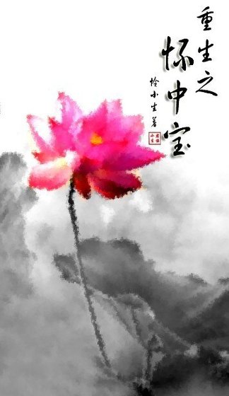 重生之懷中纽