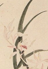 軟香