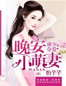 盛少夺爱:晚安小萌妻