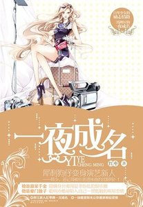 一夜成名(出書版)