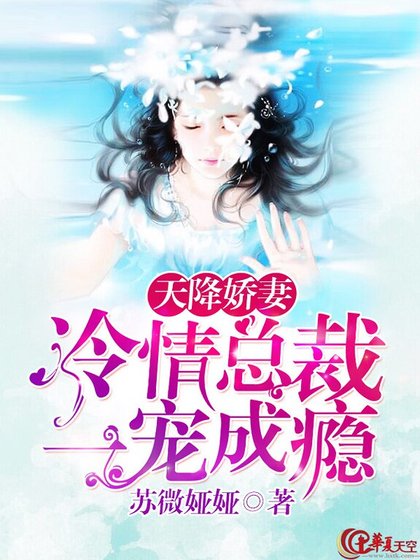 天降嬌妻：冷情總裁一寵成癮