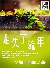 走失了流年
