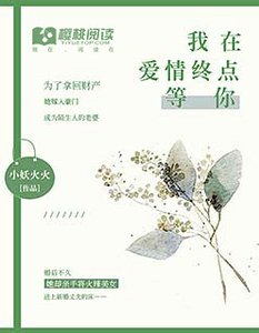 我在爱情终点等你/总裁离婚请签字