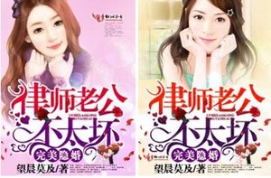 完美隱婚,律師老公不太壞