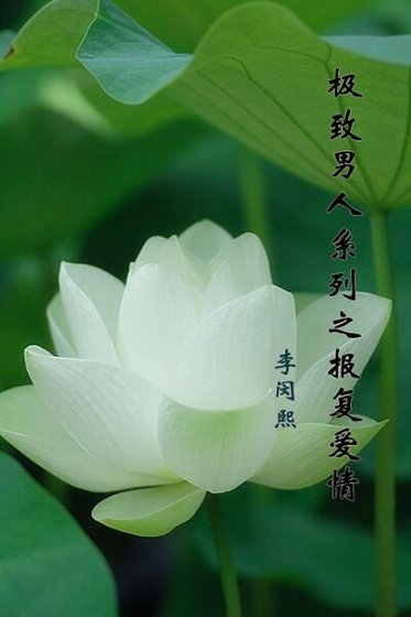 極致男人系列之報復唉情