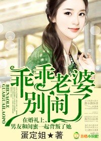 乖乖老婆,別鬧了