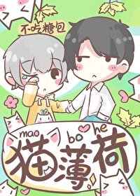 貓薄荷