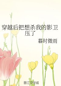 穿越後把想殺我的影衞壓了