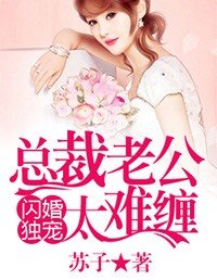 閃婚獨寵:總裁老公太難纏