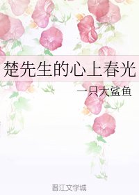 楚先生的心上春光