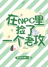 在NPC裏撿了一個老攻