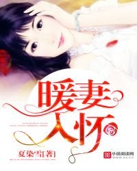 暖妻入懷