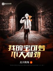 (精靈寶可夢同人)我的寶可夢不大對勁