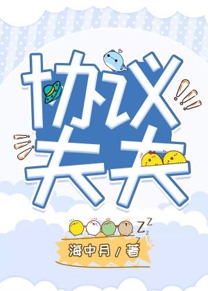 協議夫夫
