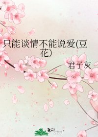 《只能谈情不能说爱(豆花)》