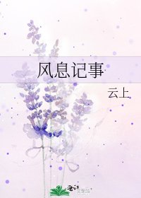 《风息记事》