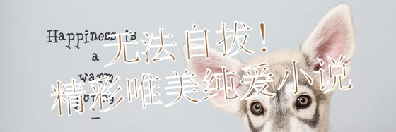 无法自拔！精彩唯美纯爱小说