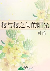 樓與樓之間的陽光