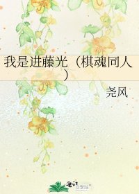 我是進藤光（棋魂同人）