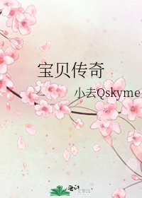 《宝贝传奇》