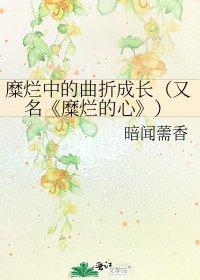 糜爛的心