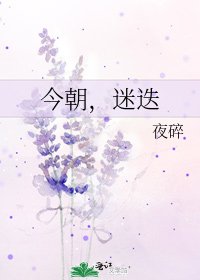 今朝,迷迭