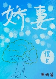 甜心傻女小哈妻