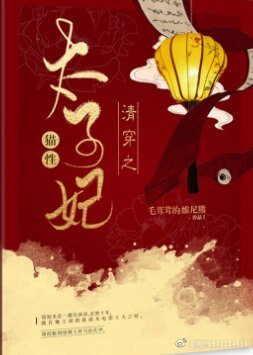 清穿之貓兴太子妃