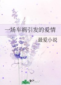 《一場車禍引發的愛情》