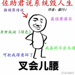佐助君説系統毀人生
