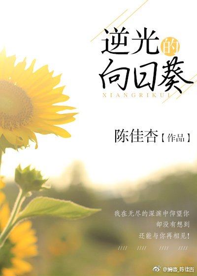 逆光的向日葵