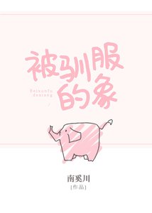 被馴服的象