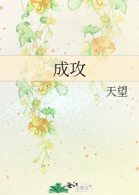 成攻