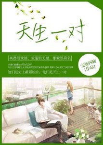 天生一对