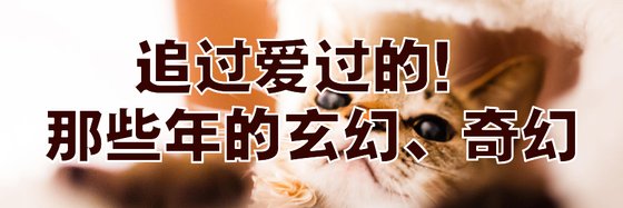 追過愛過的！那些年的玄幻、奇幻