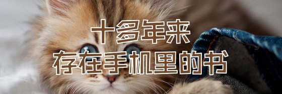 十多年來存在手機裏的書