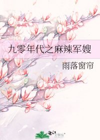 九零年代之麻辣軍嫂