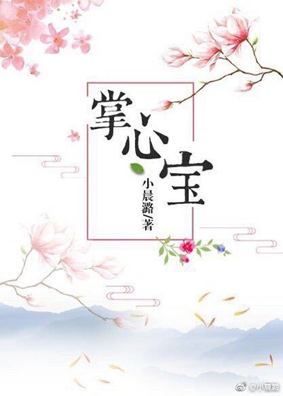 掌心寶