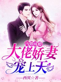 闪婚成瘾:大佬娇妻宠上天