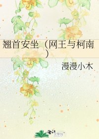 《翘首安坐(网王与柯南)》