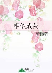 相似成灰